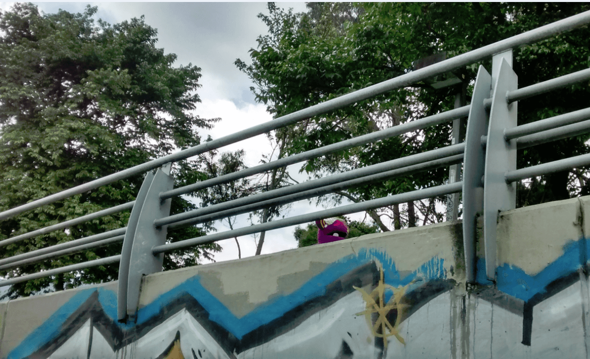 Radiolito cerca a la estación de Quinta Paredes