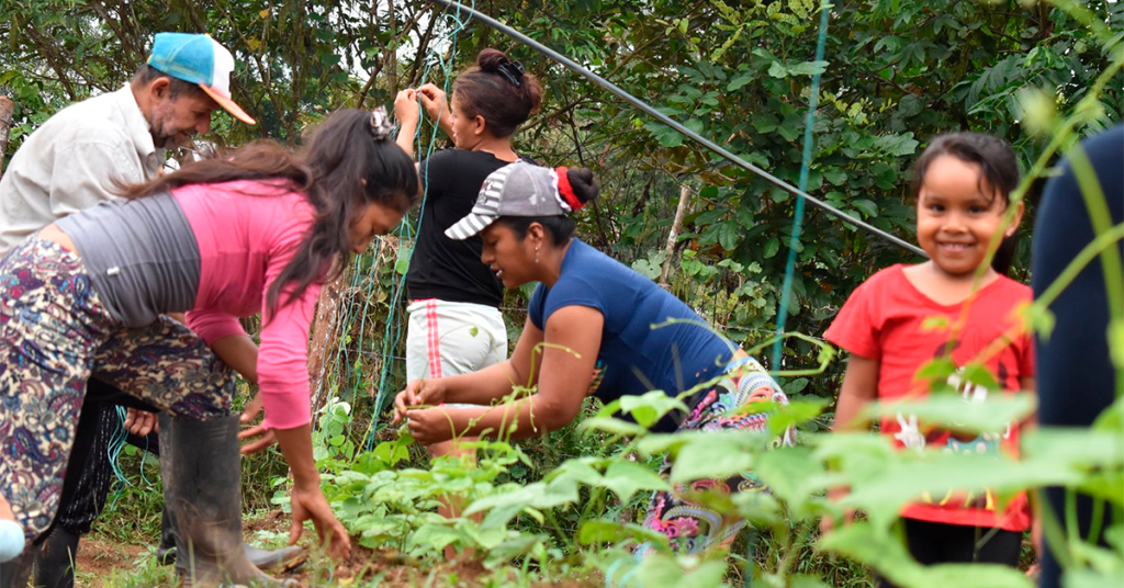 Espacio Territorial de Capacitación y Reincorporación (ETCR) Georgina Ortíz
