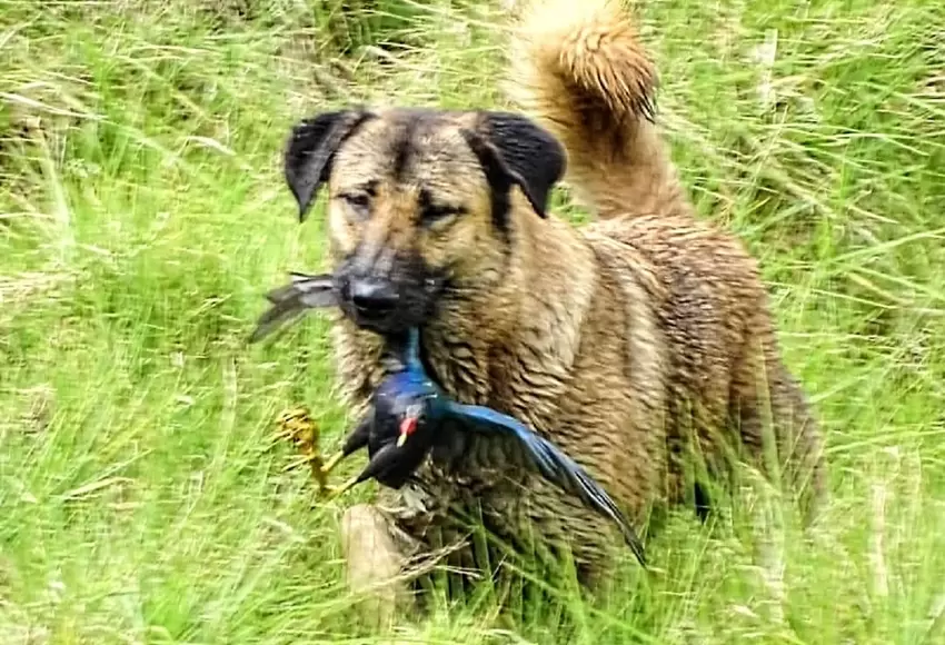 Foto por: Alejandra Medina