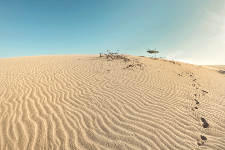 Guajira