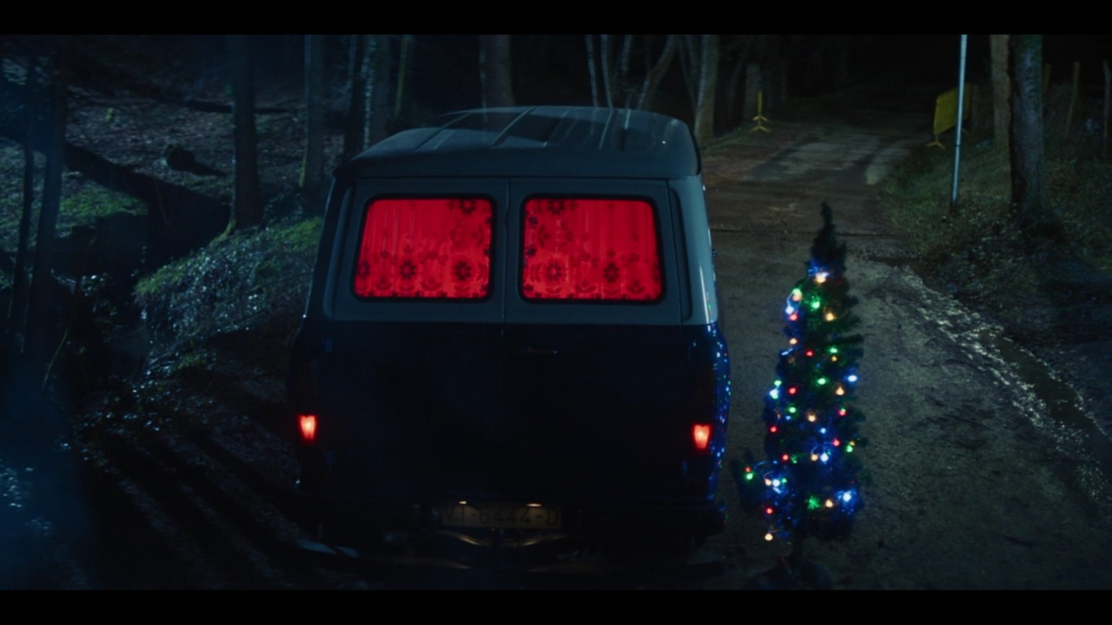 Hay algo en el bosque