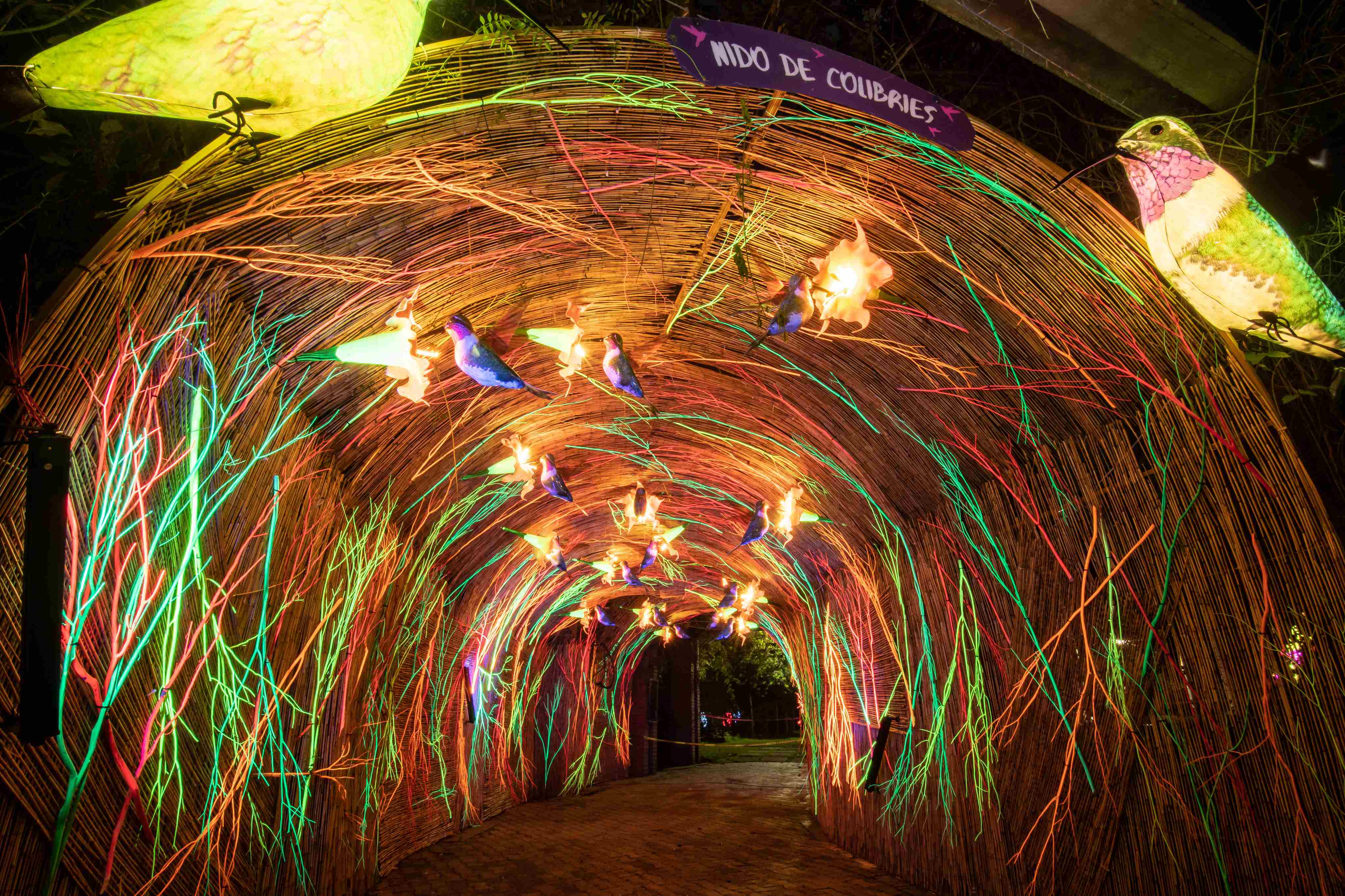 Cerca de 300 mil personas visitaron 'Polinizando'