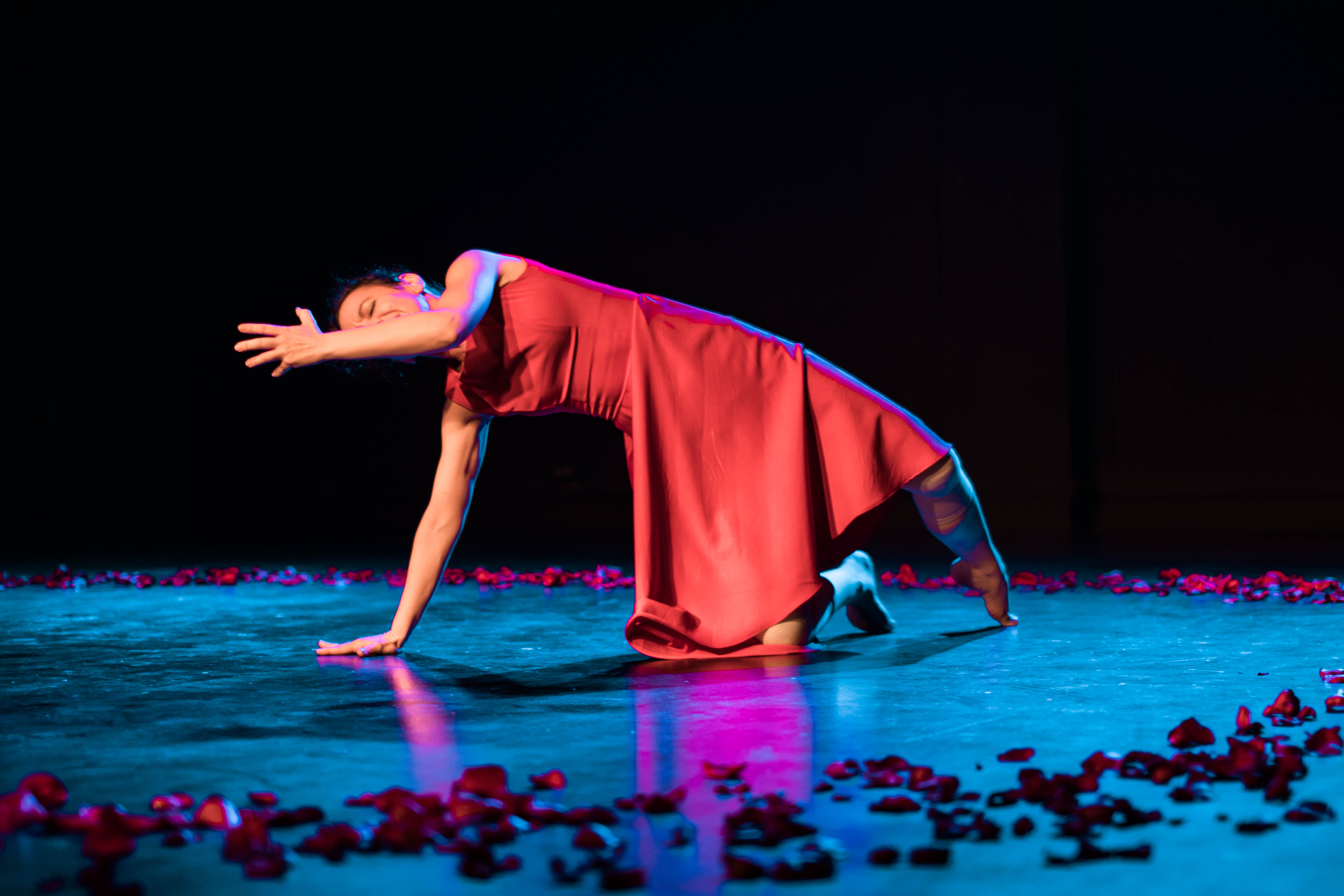 Obra de teatro: Amore