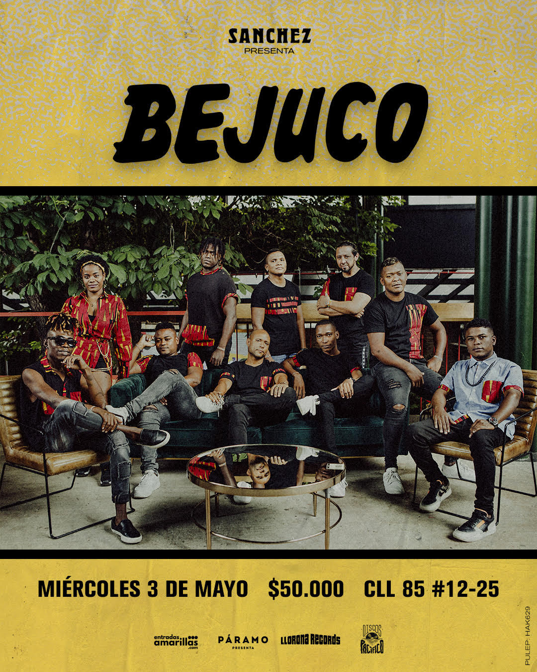 Bejuco de concierto