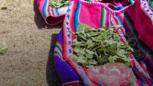 10 Canciones para entender la guerra contra las drogas