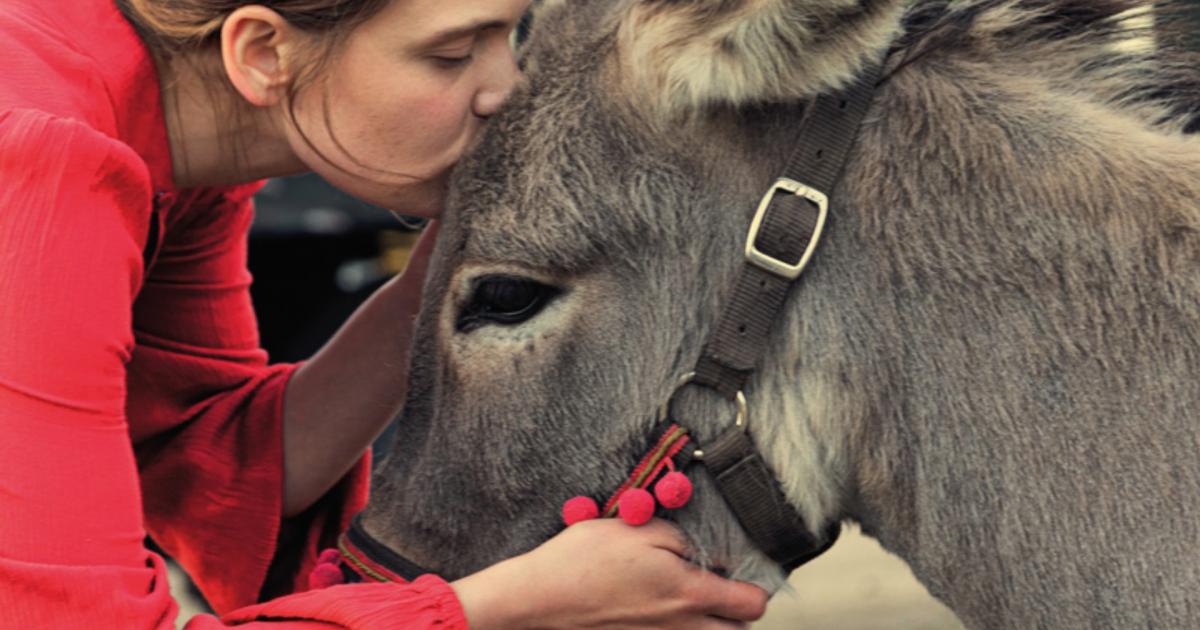 „EO” dotarło do Kolumbii, zdobyło nagrodę w Cannes i było nominowane do Oscara 2023