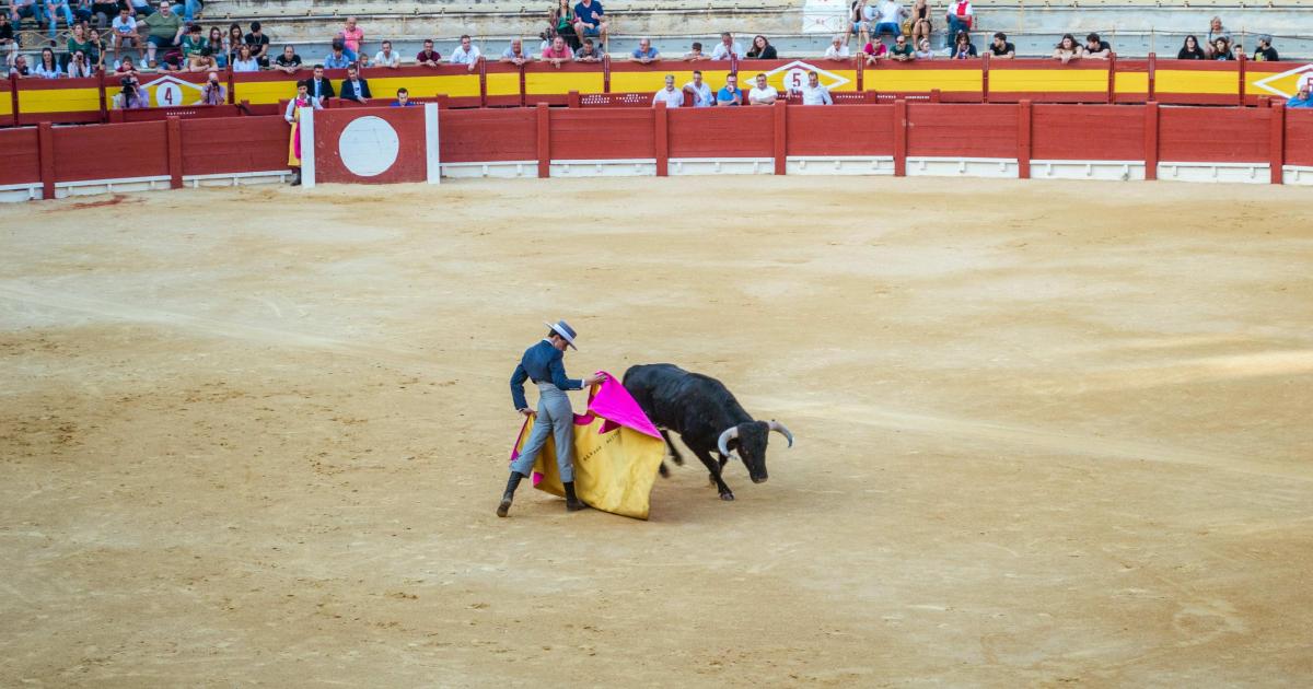 En Colombia se aprobó la ley que prohíbe las corridas de toros | Radiónica