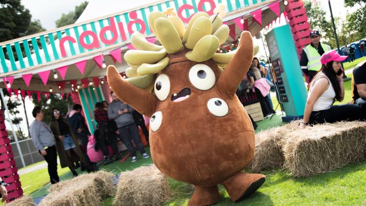 Festival Cordillera Día1