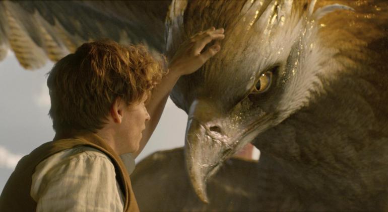 ¿Las mejores películas del 2016?