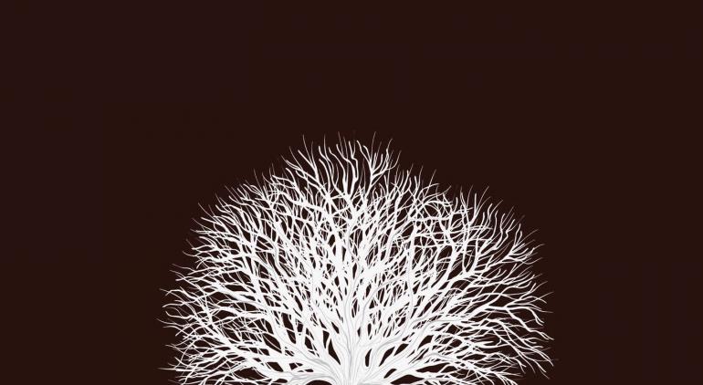 Valeria Romero de Mad Tree (parte 2)