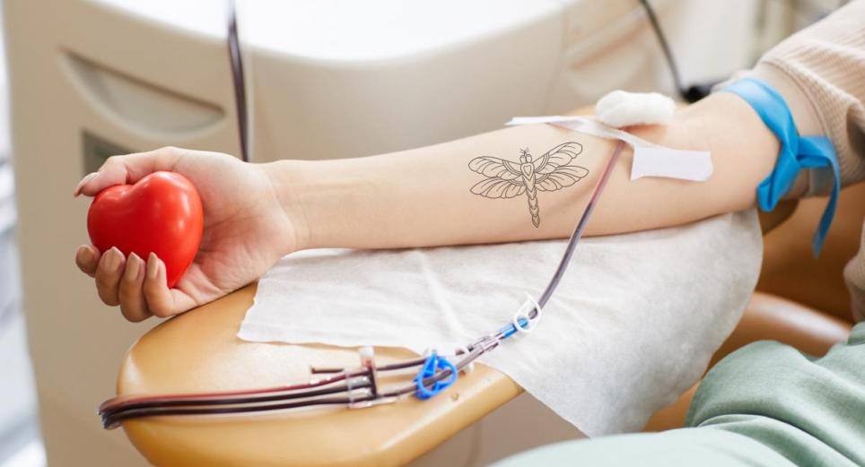 Guia básica para donar sangre