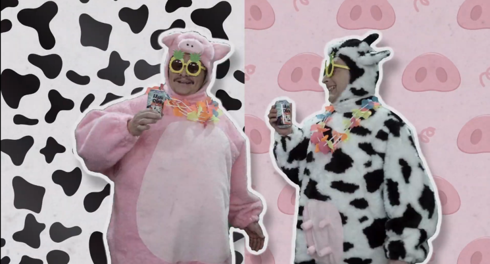 A la TV llega ‘Chancho y Vaca’, economía y diversión juntas en un programa