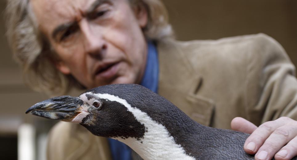 En cines 'Lecciones de un pingüino', película basada en un historia real