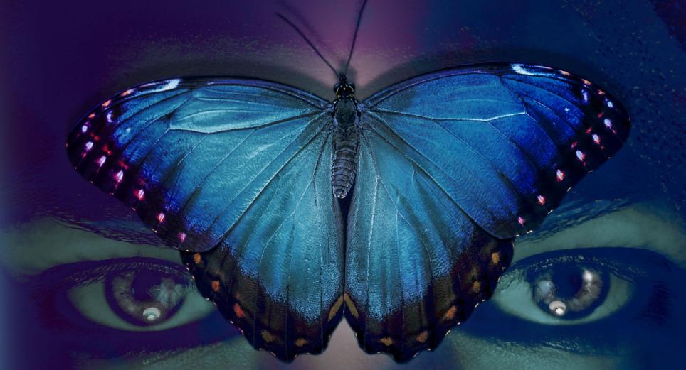 'Mariposa azul cobalto', la novela caleña que transforma el dolor en literatura