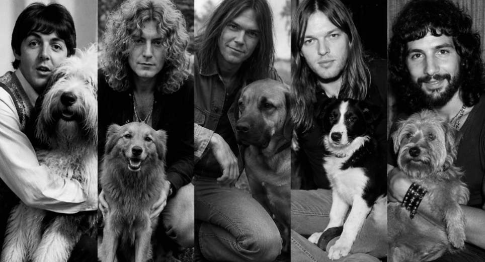 Canciones de rock inspiradas en perros 
