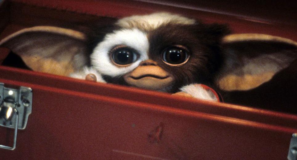 Gremlins: películas, serie, libros y videojuegos para conocer su universo
