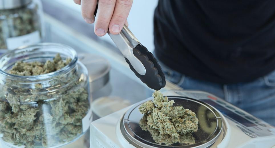 Cannabis medicinal podrá conseguirse en las farmacias de colombia