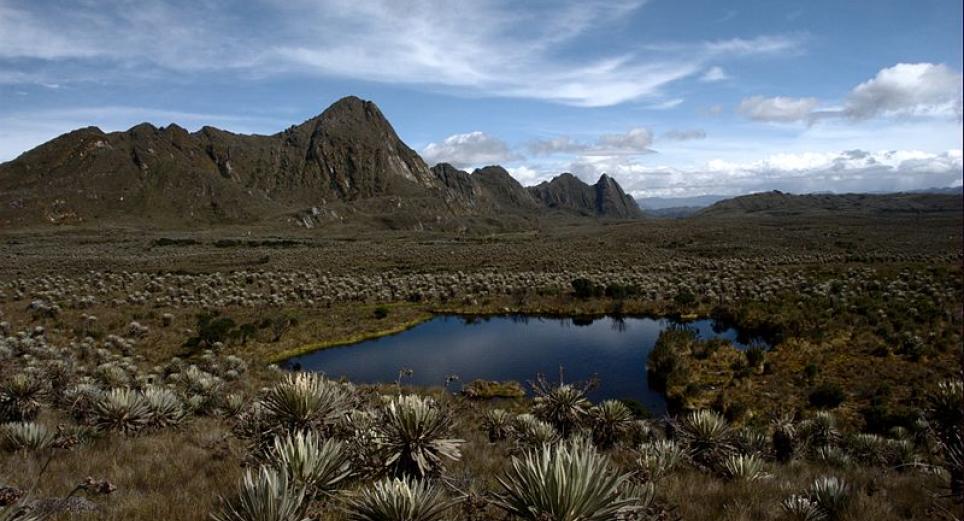 Arrancó El cine Suma Paz: un festival en el páramo más grande del mundo