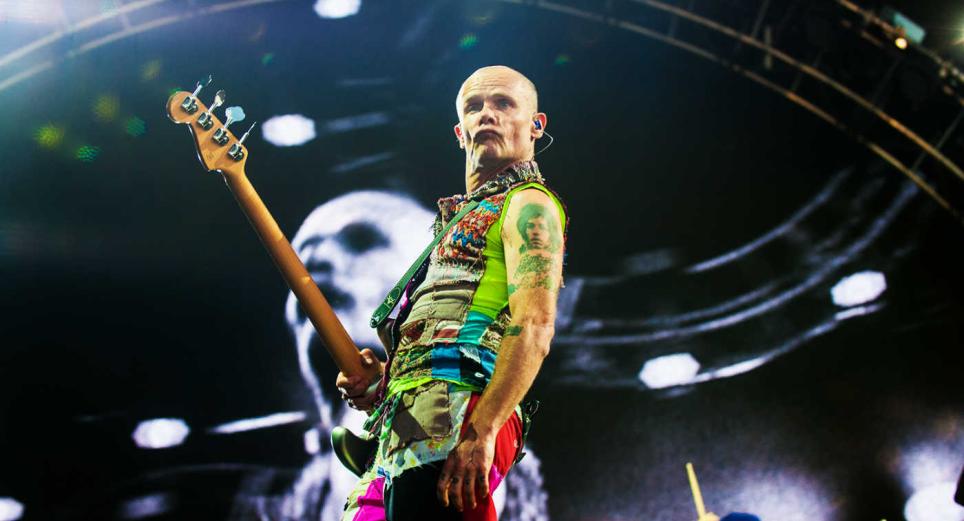 Flea le prestó su bajo a Koko, la gorila, y así suena