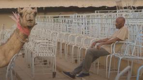 Captura de pantalla trailer promocional de la MUICA