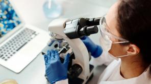 Foto por Edward Jenner