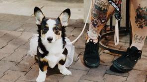 Foto de Crett Sayles tomada de Pexels