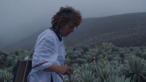 Hijos del Viento. Foto cortesía del BIFF.