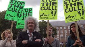 Bryan May ahora es ‘caballero’ de la realeza británica 