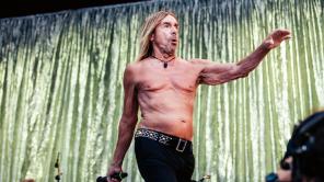 Iggy Pop.