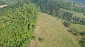 Minambiente suscribió con camesinos del Bajo Cauca antioqueño pactos contra la deforestación . Colprensa/Cortesía