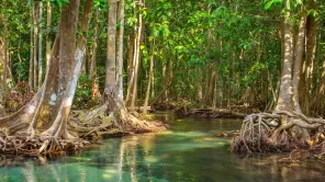 Foto: Mazur Travel/Shutterstock.com