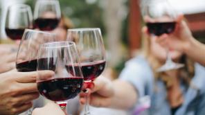 Festival Vino al Parque 2024 | Foto de Kelsey Knight en Unsplash