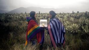 Territorios de agua. Cartografías del invisible en el Museo de Arte Miguel Urrutia | Foto cortesía de Banrepcultural
