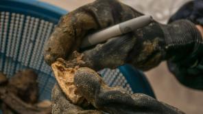 Mes del Patrimonio 2024: programación | Foto tomada de la web del IDPC