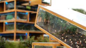 COP16: monumento ecológico de dos pisos será inaugurado en Cali