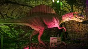 Dino Experience en Mallplaza NQS Bogotá: boletas | Foto de cortesía