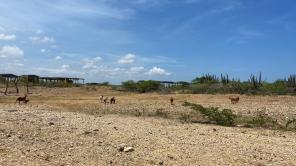 La muerte para los wayúu es la transformación del ser | Raadiónica