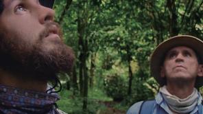 Homo Botanicus de Gullermo Quintero 