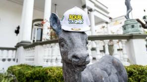 Fotos tomadas de Facebook: Berbetronik Party