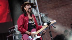 Animal Zoound: un toque por los animales 