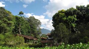 Jardín Botánico del Quindío 