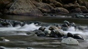 Foto de María Leonor Rasch 