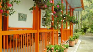 Fotos de Marcela Navarro 