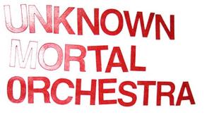 Unknown Mortal Orchestra "'Bicycle"