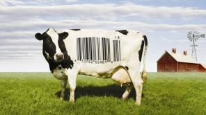 "Food Inc."