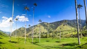 Imagen tomada de www.rutadelcafe.co