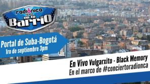 Así fue el primer Radiónica en tu Barrio