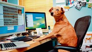 ¿Leíste los términos y condiciones?