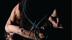 Proyecto Fritzl Agonista de Cali. Foto tomada del Facebook del Festival.