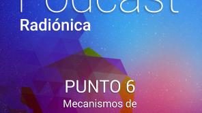 Punto 6. Mecanismos de implementación y verificación